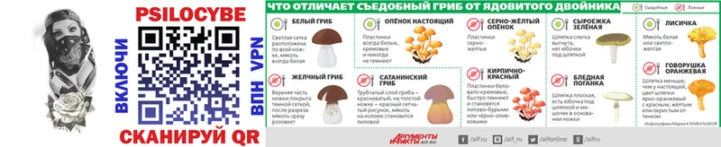 Купить где  Краснослободск  Псилоцибиновые грибы Cubensis 